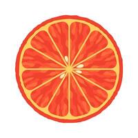 Top view of a fresh orange slice with seeds and vibrant texture on white background. Citrus fruit and healthy eating concept. Design for poster, banner, card, print. vector