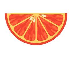 Half slice of orange fruit with vibrant pulp texture and seeds. Citrus food and healthy diet concept for design and print. vector