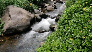 Clear river flows between large and small rocks, adorned with lush greenery and bright yellow flowers, long exposure photo