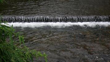 Clear stream of the mini waterfall with white foam at the bottom flows calmly in the river, surrounded by lush green foliage at its edges. photo