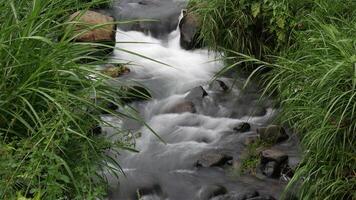 Long exposure calm stream flows between large rocks, creating a peaceful and cool atmosphere, with touches of green foliage around the stream. photo