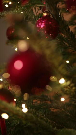 2025 Woman Hand Hanging Red Shiny Bauble On Illuminated Christmas Tree 2025 Woman Hand Hanging Red Shiny Bauble On Illuminated Christmas Tree At Home Decorating The Christmas Tree With Lights And Toys Video