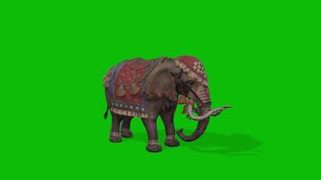 an elephant with a saddle on its back on a green screen video