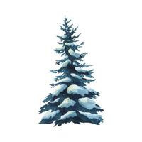 Tree evergreen fir with spreading branches on which lies white snow. Winter, forest watercolor illustration drawn by hand. Separate element isolated from background for Christmas, New Year and winter vector