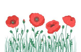 Horizontal banner with gorgeous multicolored blooming flowers, leaves border. Spring or summer botanical illustration with different poppy vector