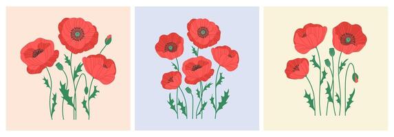 Set of floral backgrounds with hand drawn red poppies. Design templates for invitation, postcard, poster, business card, flyer vector