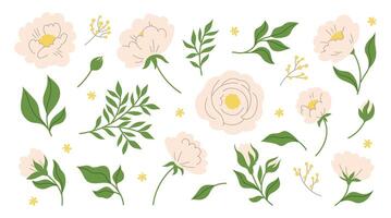 Collection of simple delicate hand drawn flowers, leaves and branches in flat line, doodle style. Trendy botanical illustration on white background vector