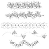 Set of lily borders in doodle style. Elements for your design. illustration isolated on white background. vector