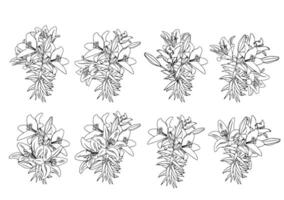 Set of lily bouquets in doodle style. illustration isolated on white background. vector