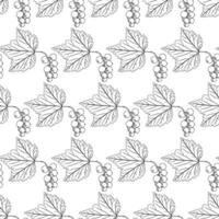 Currant branch with leaf in doodle style. Seamless pattern. vector