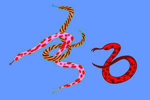 patterned colored snakes set in hand drawn style vector