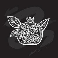Pomegranate fruit in the style of line drawing on a black background vector