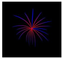 firework at night, celebration firework, new year firework. vector