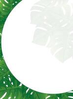 Tropical leaves and a circular frame with space for text vector