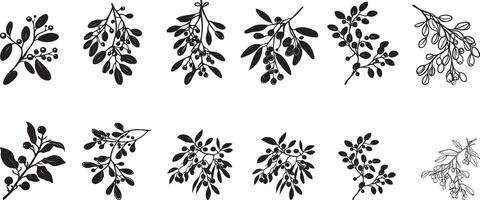 Collection of Mistletoe clean simple silhouette black vector
