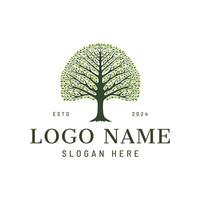 Tree logo concept - Tree of life design inspiration vector