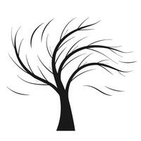 a tree with no leaves on it vector