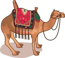 Camel with Saddle vector