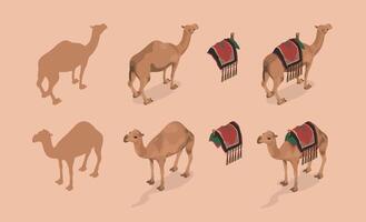 Isometric layout Camels with Saddle vector