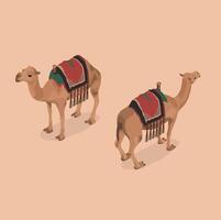 Isometric Camels with Saddle vector