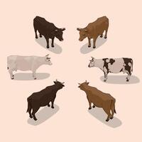 Isometric Cows different colours and patterns vector
