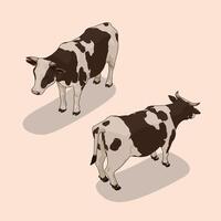Two Isometric pattern cows two angles vector