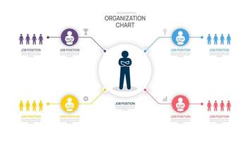 organization chart hierarchy Infographic template for with business icons avatar. illustration. vector