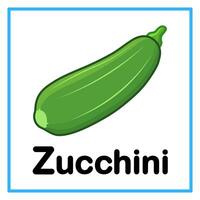 fresh green zucchini fruit with alphabet letter vector