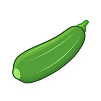 fresh green zucchini vector