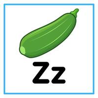 fresh green zucchini fruit with the letter z vector