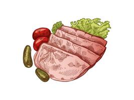 Hand-drawn colored sketch of pork meat, ham slice, prosciutto vintage sketch. Butcher shop. vector