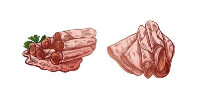 Hand-drawn colored sketch of pork meat, ham slice, prosciutto vintage sketch. Butcher shop. Great for label, restaurant menu. vector