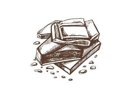 Broken chocolate pieces with crumbs in vintage sketch style vector