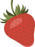 Hand-Drawn Strawberry Icons for Creative Projects vector