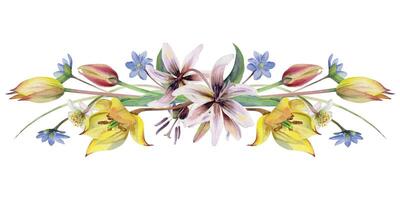 Spring flowers, yellow and red tulip crocus saffron, erythronium fawn trout lily, grass blades hand drawn in watercolor. Composition illustration isolated on white. Wedding, florist shop, stationery vector