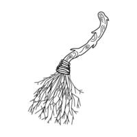 Magical broom with leaves, twigs, branch, wooden handle. Black line Doodle Isolated illustration theme magic, Halloween, esoteric. vector