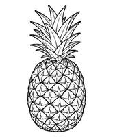 Pineapple Fruit Coloring Page, Design On White Background vector