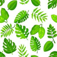 A green leaf pattern with many different types of leaves vector