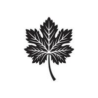 oak twig isolated on white background vector