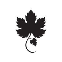maple leaves in white background vector