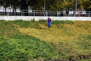 Nitra, Slovakia - 11.18.2024 A municipal worker cuts the grass using power tool string lawn trimmer on the banks of the Nitra river. photo
