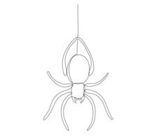 Outline spider hanging on web. line illustration vector
