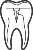 A tooth with a hole in it and a line drawing of it vector