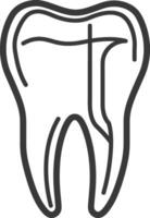 A tooth with a line drawing of it vector