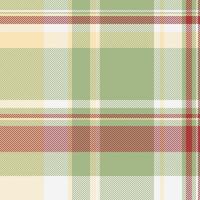 Apartment check textile background, interior seamless plaid. Reel fabric tartan pattern texture in pastel and white colors. vector