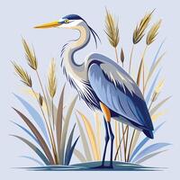 a blue heron standing in the grass with wheat vector