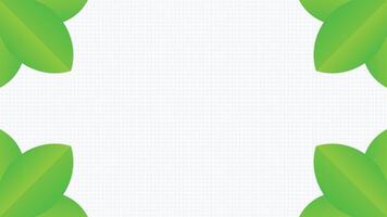 white backdrop background with leaf vector
