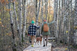 Happy romantic couple peacefully walking together with hunting dog in autumn forest, thicket photo