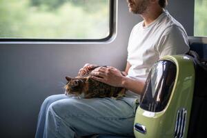 Cat owner traveling in electric train gentle touching pet lying on lap. Trip with domestic animals. photo