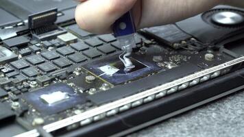 Repair man from hardware service applies new thermal paste from a syringe on a cpu or gpu for better air cooling. video